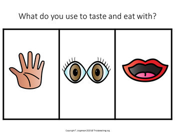 All About Me Adapted Stories, Lessons, & Activities - Image 4