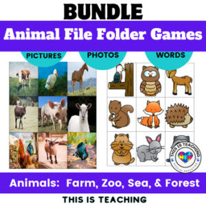 Animal File Folder Matching Activity & Games