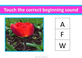 Spring Boom Cards Stories, Games, & Activities Bundle - Image 4