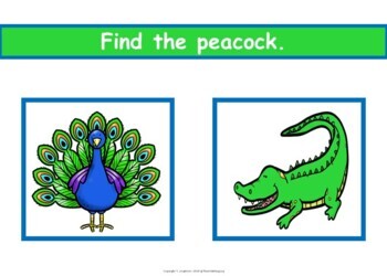 Animal Themed Digital Boom Cards Story & Activities - Image 3