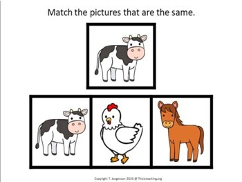 Animal Themed Digital Boom Cards Story & Activities - Image 4