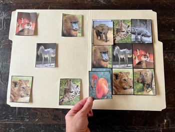 File Folder Games & Activities YEARLONG Bundle For Special Education - Image 4